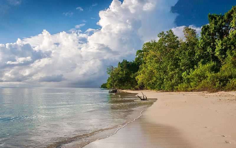 3 TIPS FOR EXPLORING ANDAMANS’ WILDERNESS