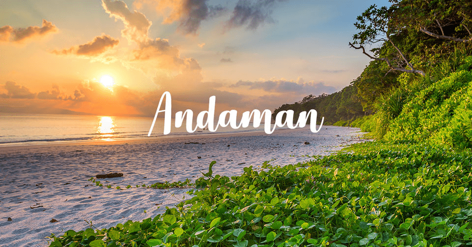 <strong></noscript>5 Must-Visit Beaches in the Andaman Islands</strong> 