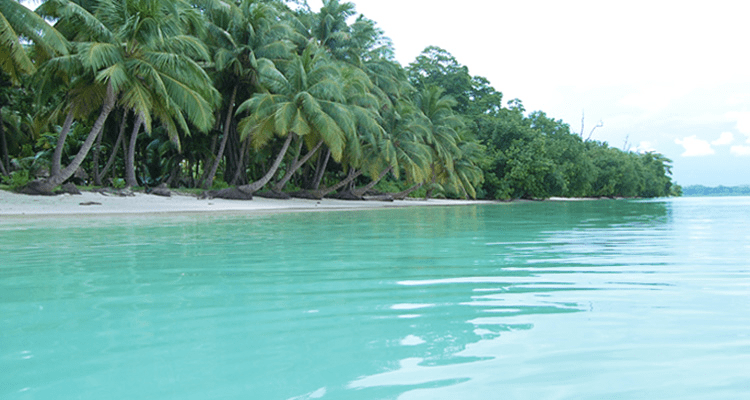 Vijay Nagarnagar Beach in Havelock Island