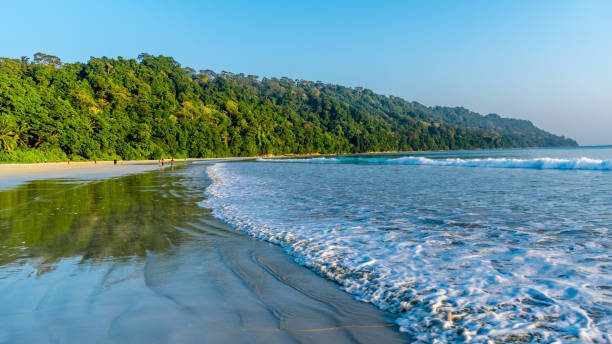 The Top 5 Places to Visit in Havelock Island, Andaman