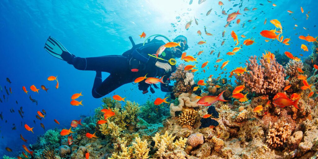 Why Havelock Island is the Best Place for scuba diving in India 