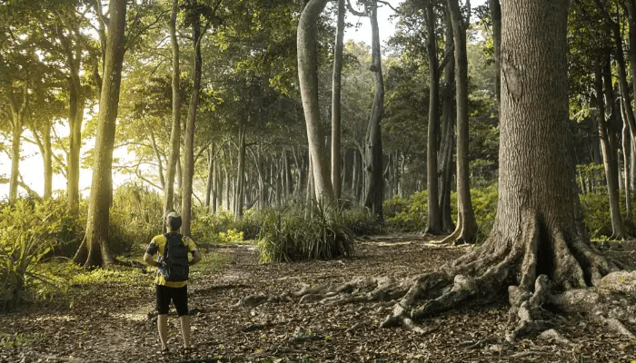 Where to go for the best hiking trails in the Andamans