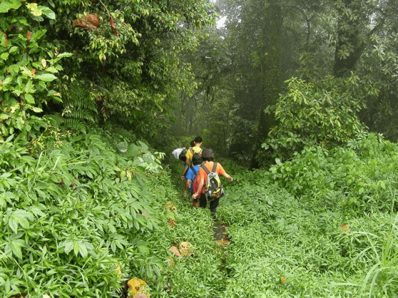 Best hiking trails in the Andamans