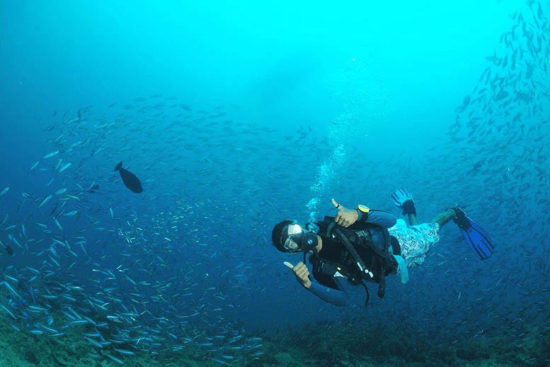 Havelock Island for Scuba Diving Gem